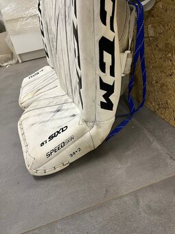 Betony CCM - 2