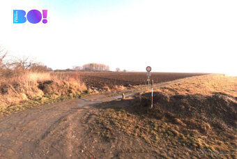 Prodej pole, 5 882 m², Grygov - 2