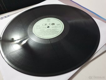 Whitney Houston – Whitney LP - 2