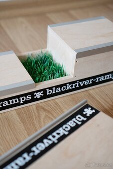 Blackriver fingerboard rampy 2x - 2