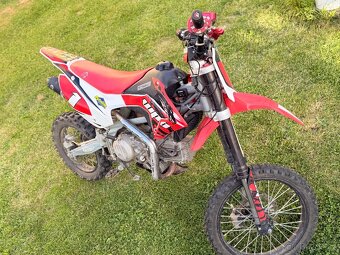 Pitbike WPB 190 Beast - 2