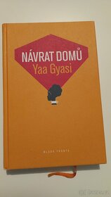 Yaa Gyasi - Návrat domů - 2