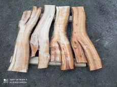 Fošny třešeň - 2