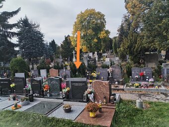 Urnové místo přenechám Brno-Řečkovice - 2