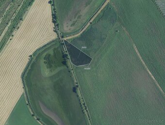 Louka, prodej, Brumovice, Břeclav - 2