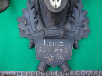 Starožitná Mufloní trofej Muflon 1912 medailové rozměry top - 2