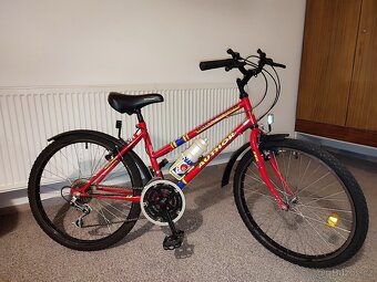 Jízdní kolo - 2