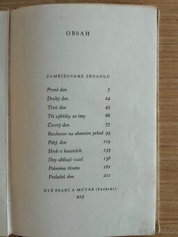 Zamřížované zrcadlo - 2