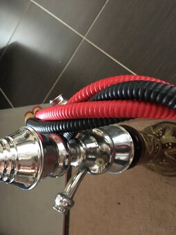 Vodní dýmka dvoušlahounová - 2