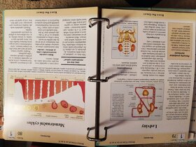 Domácí lékař od A do Z - 2