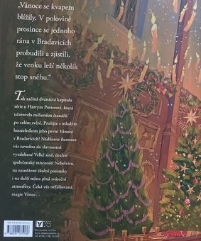 Vánoce v Bradavicích - 2