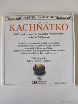 Kachňátko – podívej jak rostou, naučná knížka pro děti - 2