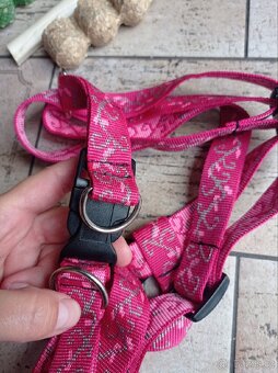 Nová postroj včetně hračky a pamlsků - 2