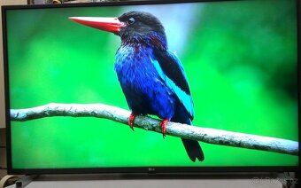Prodam 108cm 4k UHD SMART WiFi DVB-T2 LED TV LG 43UK6200PLA. - 2