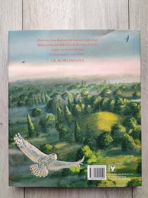 Harry Potter a Tajemná komnata - ilustrované vydání - 2