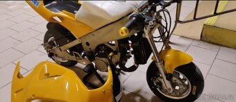 minibike POLINI/BLATA - 2