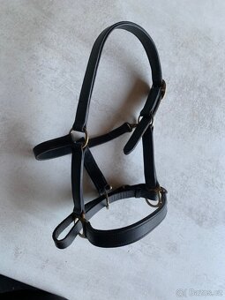 PONY kožená ohlávka, podsedlovky, bederka - 2