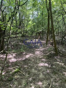 Ždánice - Dobrá investice - ochrana před inflací - 3224m2 - 2