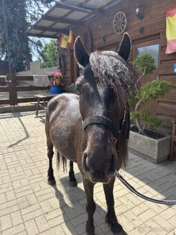 Pony valášek - 2
