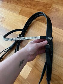 Uzdečka s čelenkou Schockemoehle - 2