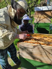 Včelí med z Jesenicka + dárkovémedové  balíčky - 2