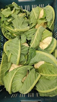 🌿 Farma24 – čerstvá zelenina přímo od farmářů 🌿 - 2