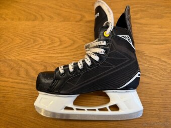 Brusle Bauer Score  36 - 2