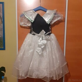 Karnevalový kostým - 2