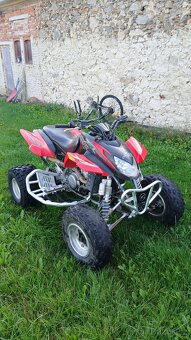 ARCTIC CAT 400 DVX - 2