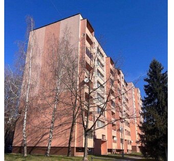 Dražba bytu 2+1, Frýdek-Místek, ID 7377e 2207 - 2
