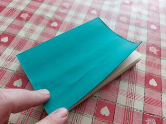 ČSĽA - Armáda - Osobní plán velitele - 2