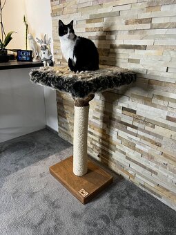 Škrabadla pro kočky - 2