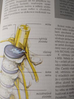 NOVE KNIHY Encyklopedie rad - 2