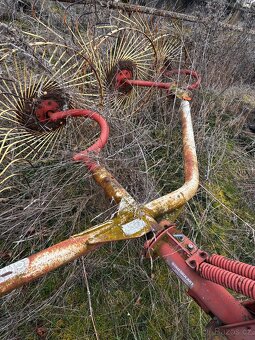 Nahrabovač sluníčka - 2