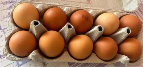 Domácí vejce , přebytky - 2