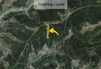 Prodej lesu v k.ú. Všemina - 2