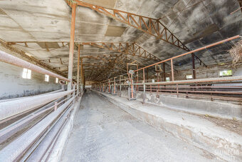 Pronájem chléva 2646 m², Moravský Písek - 2