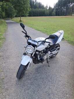 Honda Hornet CB600F - 2