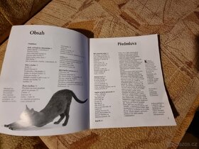 Kniha Kočka od Katrin Behrendová - 2