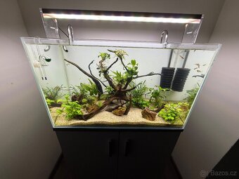 Akvárium s vybavením - 2