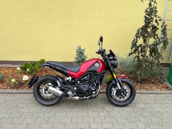 Benelli Leoncino 500 - 2