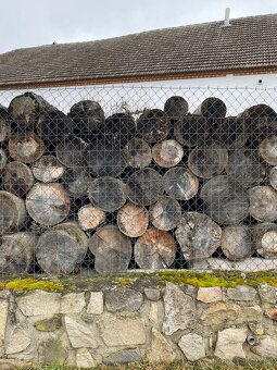 Palivové dřevo - 2