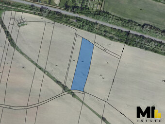Prodej orné půdy s rozlohou 3744m2 v obci Rynholec, Středoče - 2