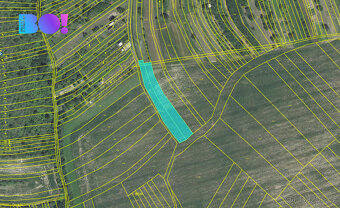 Prodej pole, 3021 m², Bukovany u Kyjova - 2