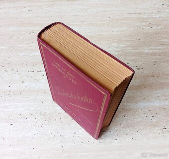 Kuchařská kniha jednoduché občanské kuchyně z roku 1929 - 2
