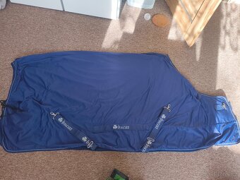 Bucas Shamrock Power 145 - 2