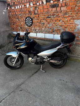 Suzuki xf freewind 650 - 2