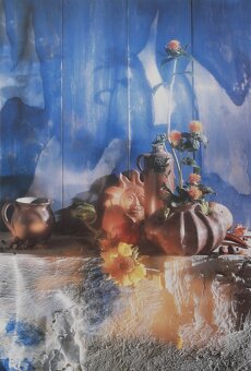 DEKORACE DO BYTU a KANCELÁŘE - 2