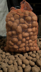 Pěkné konzumní  brambory od pěstitěle z vysočiny ROZVOZ - 2