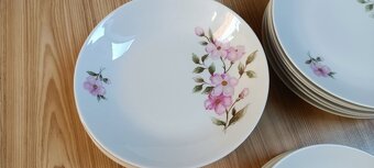 Stará porcelánová sada 18 ks talířů, květy, BOHEMIA CZECHOSL - 2